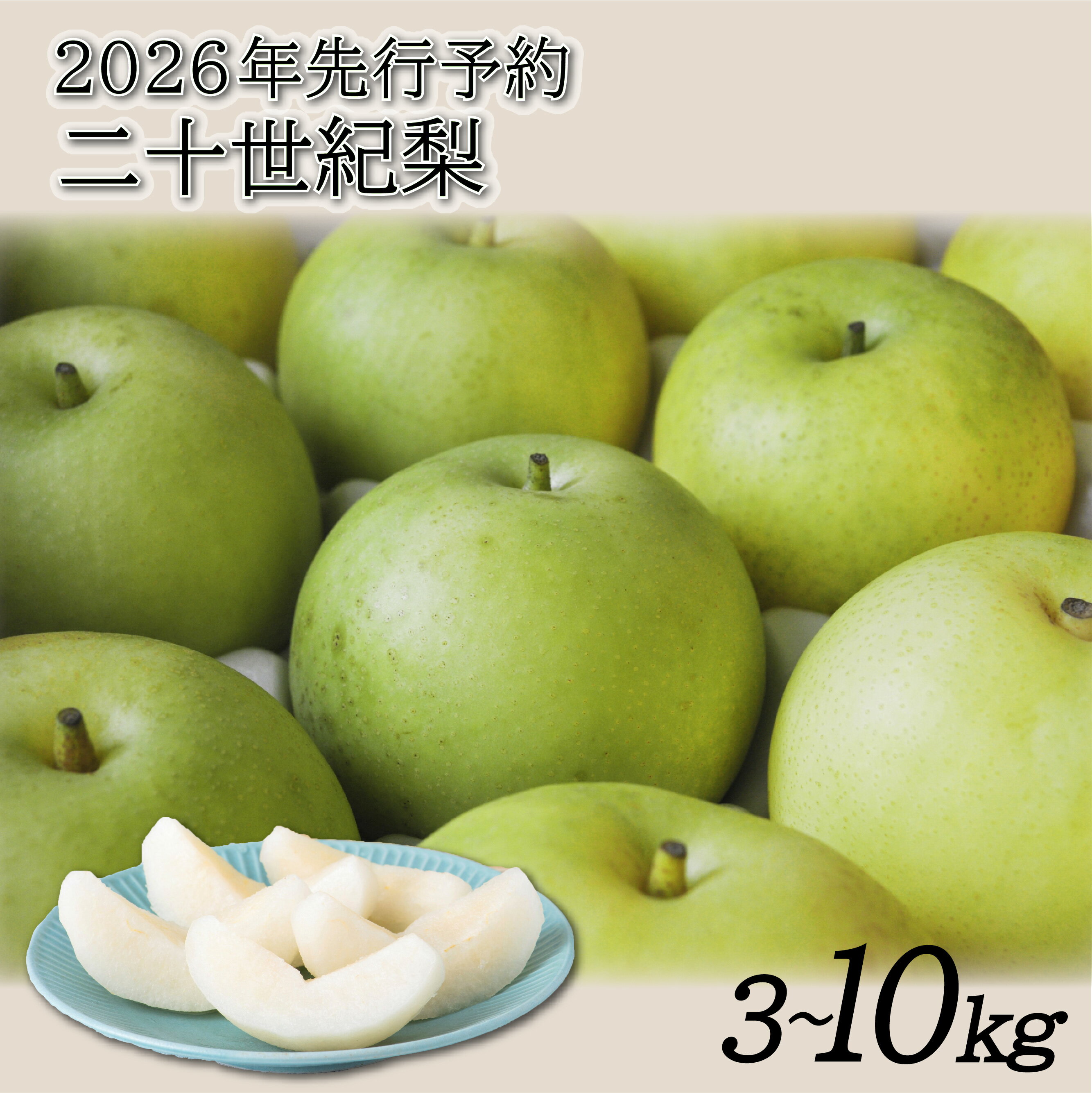 【ふるさと納税】【2026年 先行予約】二十世紀梨 3～10kg｜鳥取 東光園 梨 2026年収穫後 2026年8月下旬～9月頃順次発送※着日指定不可