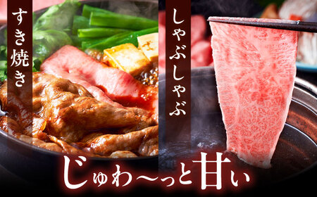 【全5回定期便】A4ランク以上 博多和牛 肩ロース薄切り 500g 桂川町/久田精肉店[ADBM135]