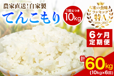 [定期便／6ヶ月連続 ]新米 [令和8年産／11月上旬より順次発送] 伊勢原産 精米10kg(5kg×2袋) てんこもり 農家直送！加藤さんちのうんめぇ！自家製米 [1114]