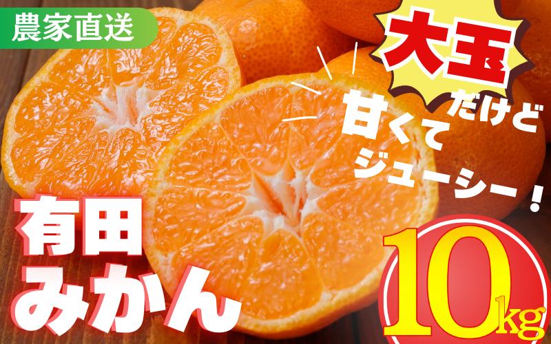 
            【農家直送】有田みかん　約10kg  大玉3L以上 有機質肥料100%　※2025年12月初旬～1月中旬に順次発送(お届け日指定不可)※北海道・沖縄・離島への配送不可 / ミカン 蜜柑 柑橘 フルーツ くだもの 果物 早生 温州 有田 【nuk139F】
          