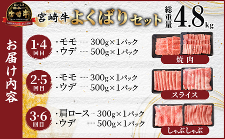 6か月お楽しみ定期便『宮崎牛よくばりセット』総重量4.8kg 肉 牛 牛肉 おかず 国産_T030-184