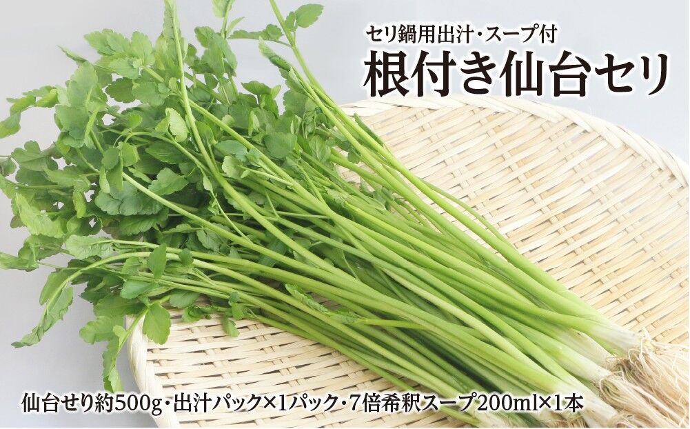 【期間限定】根付き仙台セリ鍋出汁セット（セリ鍋用出汁・スープ付）（500g）4～5人前 [せり鍋 仙台名物 冬 ごちそう 惣菜 セリ]