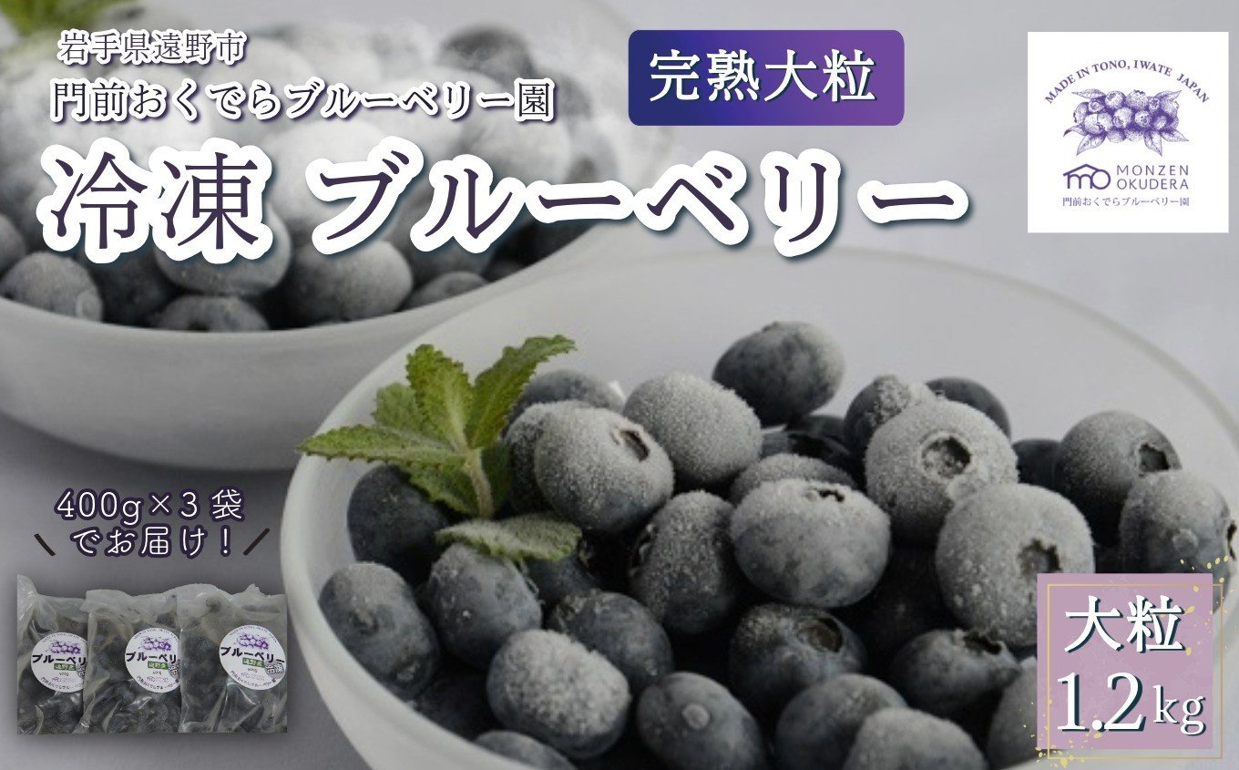 
            冷凍 ブルーベリー 大粒 1.2kg （400ｇパック3個入り） 門前おくでらブルーベリー園 岩手県 遠野市 産 お取り寄せ 産地直送 2025年産
          