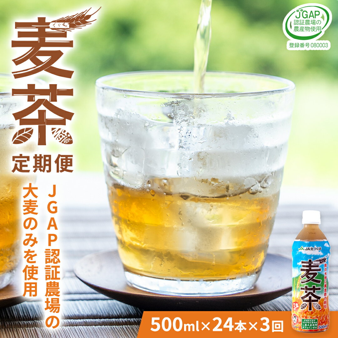 【ふるさと納税】【 3ヶ月 定期便 】 JA北つくば JGAP認証 麦茶 1箱 ( 500ml × 24本 ) JGAP JA お茶 茶 ペットボトル 麦 大麦 二条大麦 ノンカフェイン カフェインゼロ