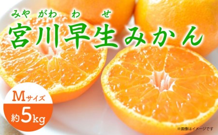 【先行予約】 早生 （宮川早生） みかん Mサイズ 約5kg  ー2025年11月より発送ー 長与町/山口農園 [EBI010] みかん ミカン 温州みかん 早生みかん 長崎みかん 長与みかん