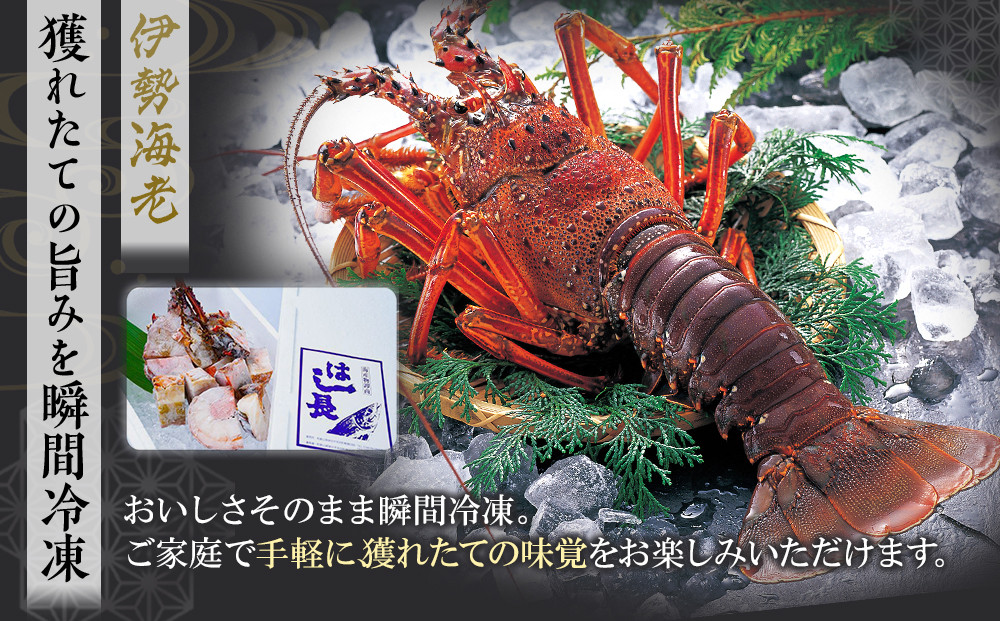 冷凍伊勢海老カット約1kg（サイズ不揃い）［HC15］
