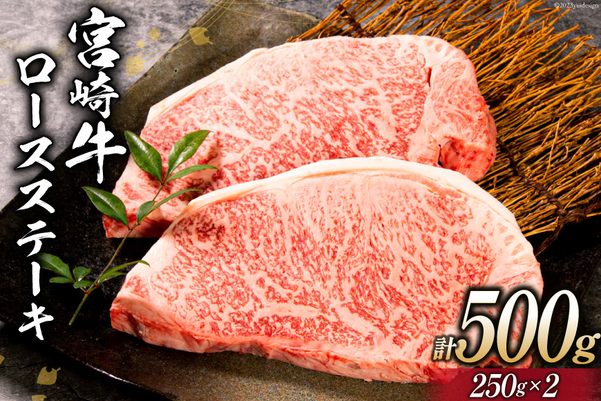 
牛肉 宮崎牛 ロースステーキ 250g×2 計500g [ミヤチク 宮崎県 日向市 452060614] 肉 黒毛和牛 ステーキ ロース 冷凍
