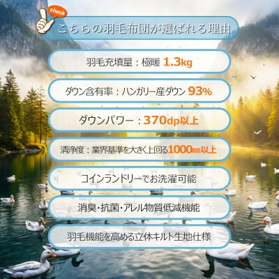 ハンガリーダウン93% 超極暖1.3kg 本掛け羽毛布団シングル 超長綿100%サテン(アイボリー)