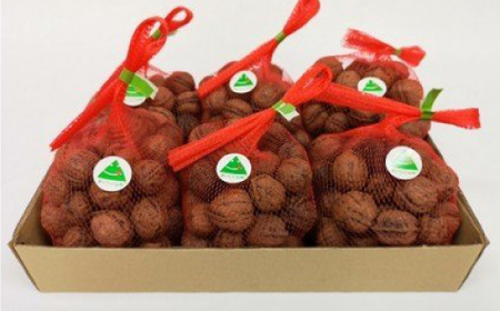 真室川産　天然くるみ　450ｇ×6袋 　◆ SA204-2025