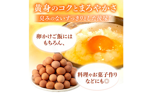 岩田のおいしい卵実用中玉25個+破卵保障5個(10個入り×3パック)【配送不可地域：離島】