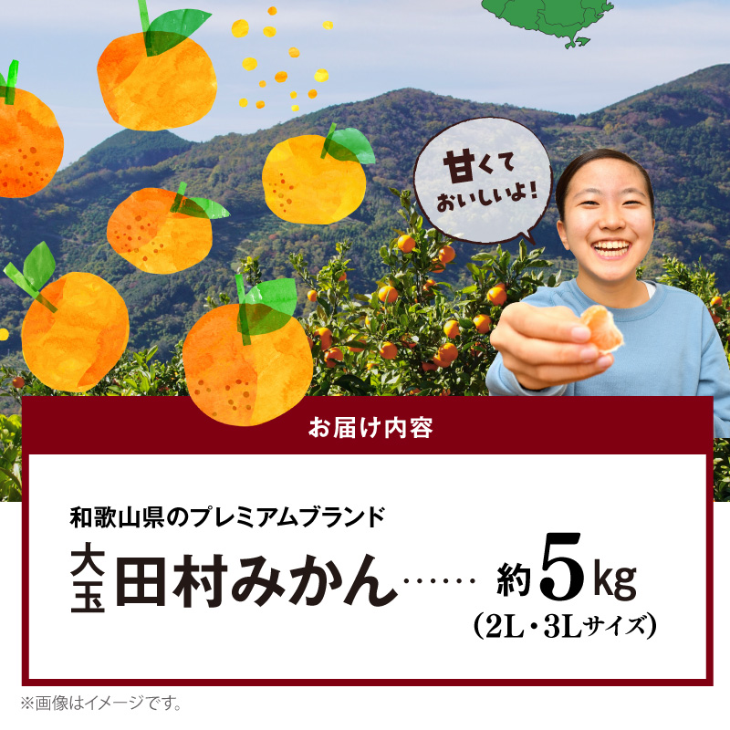 AB7303_【2026年先行予約】大玉田村みかん 2L・3Lサイズ 秀品 約5kg _ 和歌山プレミアムブランドみかん  大粒有 大きい 蜜柑 ミカン フルーツ 果物 ギフト お歳暮