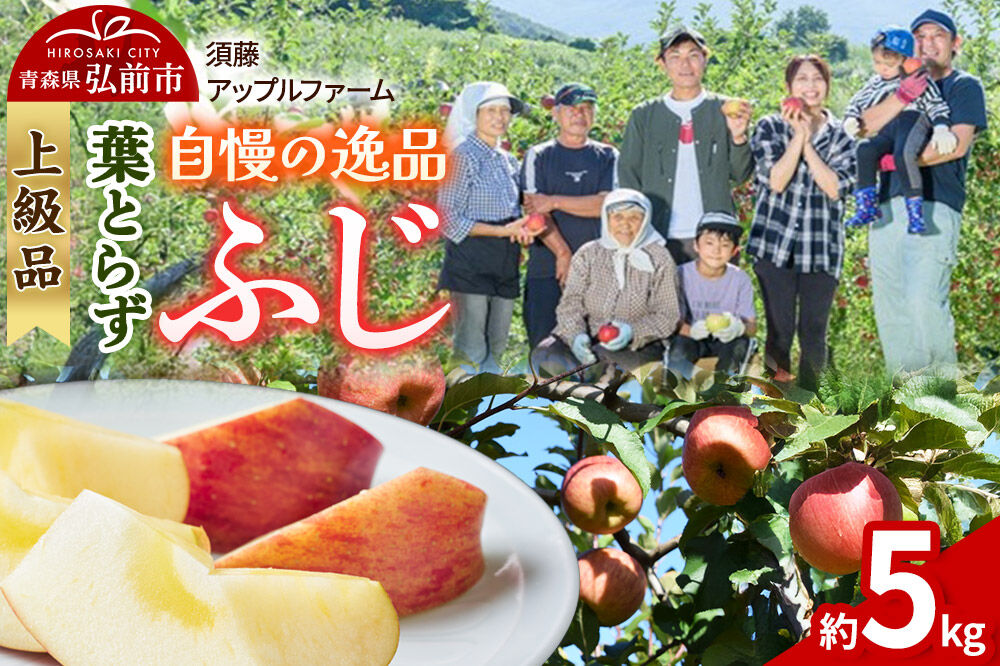 【26年11月下旬〜発送】りんご 葉とらず ふじ【上級品】約5kg 先行受付 青森県 弘前市 果物 フルーツ 林檎 リンゴ くだもの ギフト 贈り物 贈答 [先行予約 産地直送 アップル おいしい 果実 美味 甘い 赤色]