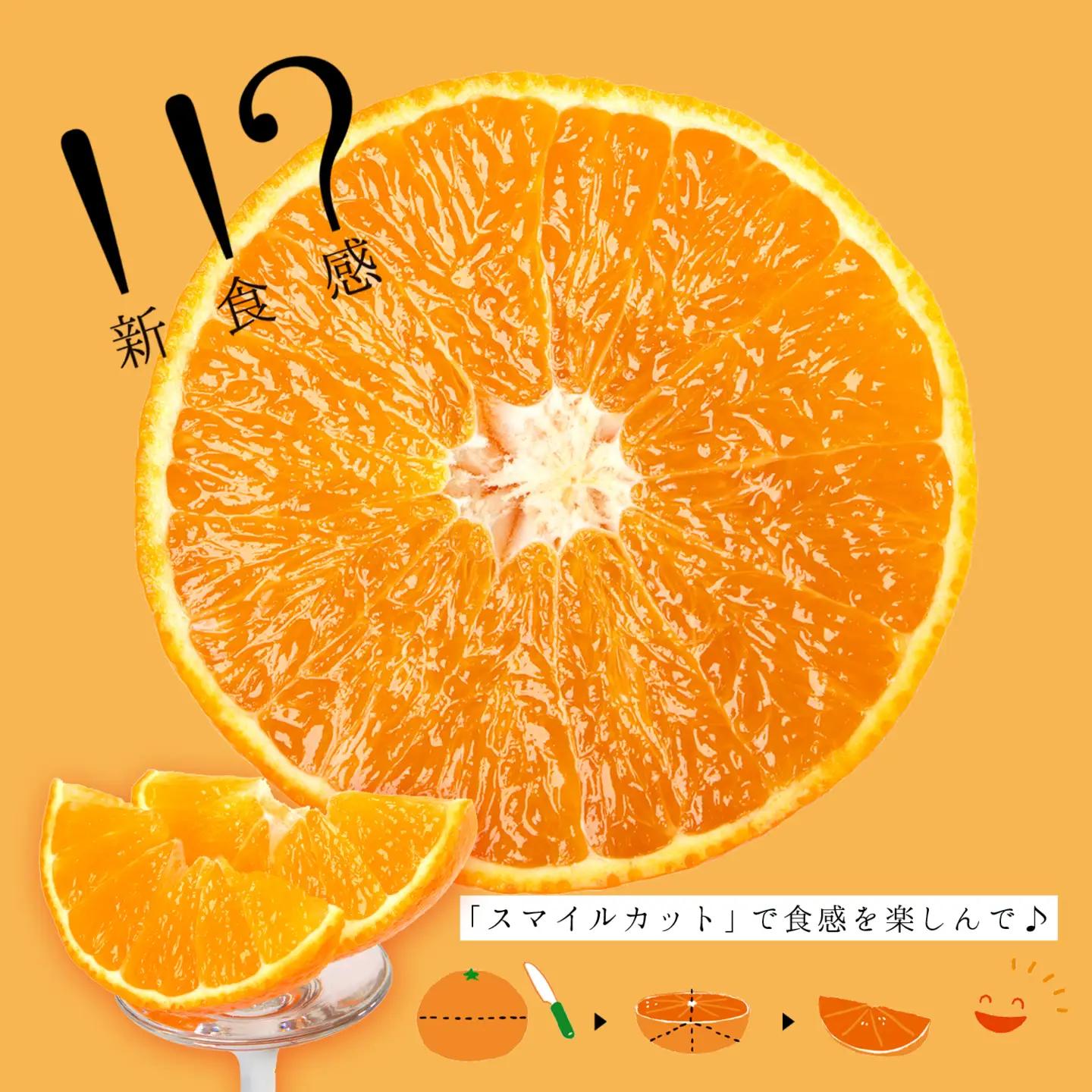 コウ果樹園「華まどんな」3kg【D33-22】【1051536】 YWTG008