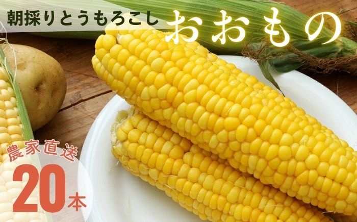 【2026年8月下旬発送予定】北海道厚真産とうもろこし おおもの 《厚真町》【(株)厚真ファーム】旬の野菜 夏野菜 大粒 高糖度 甘い トウモロコシ トウキビ 唐黍 コーン [AXAE001] 15000 15000円