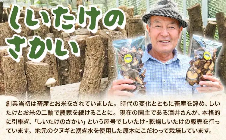 阿蘇・産山村産 原木生しいたけ 中玉800g(200g×4袋) 椎茸 しいたけ 生しいたけ しいたけのさかい《6月中旬-11月下旬頃出荷》原木生しいたけ 贈答 ギフト お中元 お歳暮 熊本 阿蘇 産山
