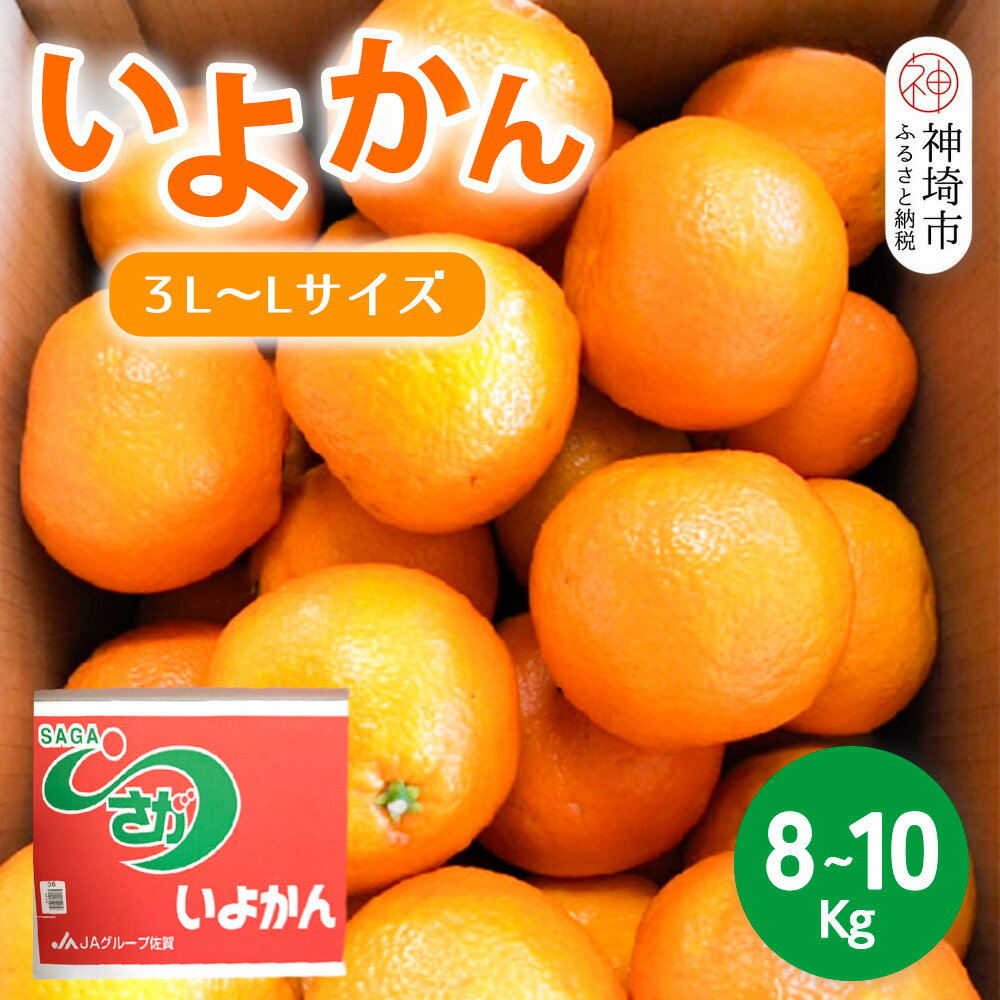 【ふるさと納税】【2026年1月上旬より発送開始】いよかん 8～10kg(3L～Lサイズ)【みかん 柑橘 フルーツ デザート】(H116141)