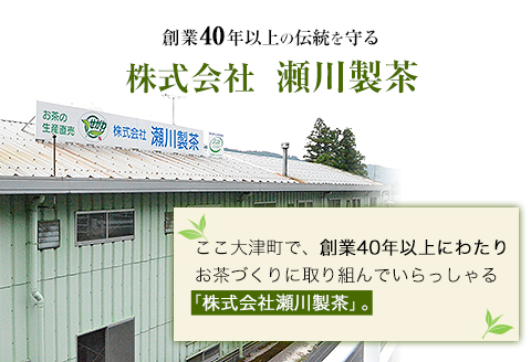 玉緑茶(たまりょくちゃ)「一番茶」 100g×5本  大津町産  瀬川製茶《60日以内に出荷予定(土日祝除く)》---so_sgwtam_60d_20_12000_500g---