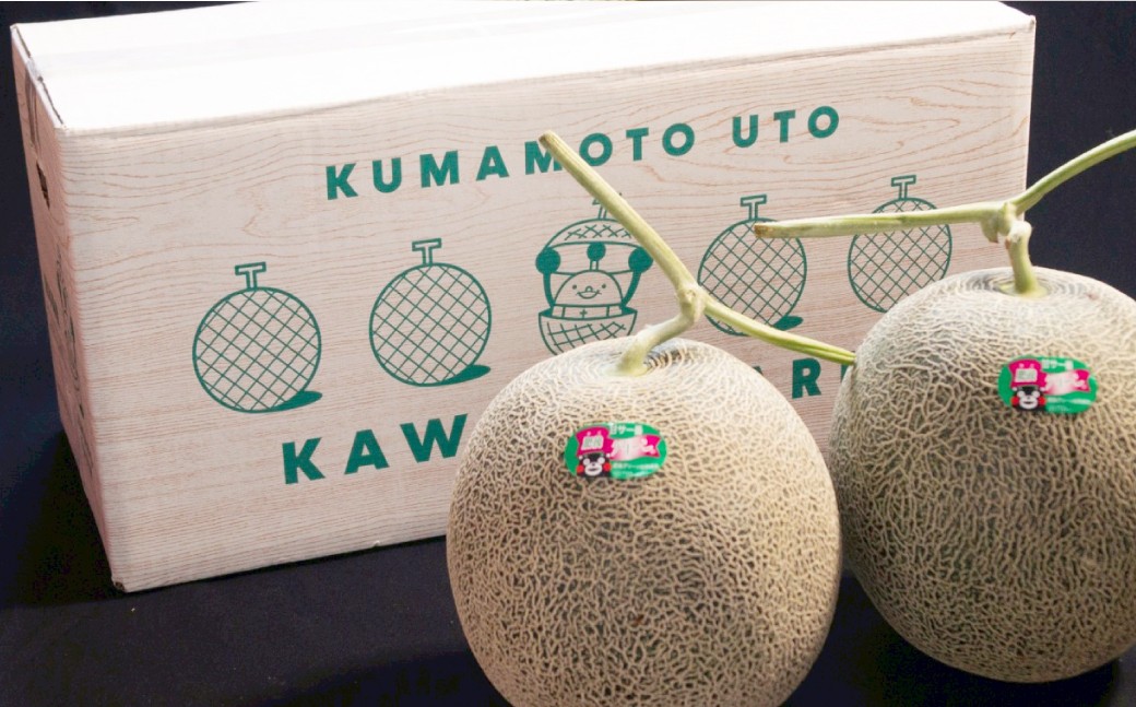 肥後グリーンメロン 1玉【2026年5月上旬発送開始】