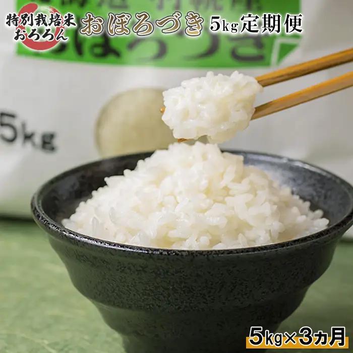 【2025年産】 【定期便：3回】 北海道羽幌産 特別栽培米 おぼろづき5kg【0812602】