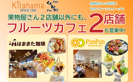 厳選！濃厚甘味のぷりっぷり「デコポン」　約3kg 