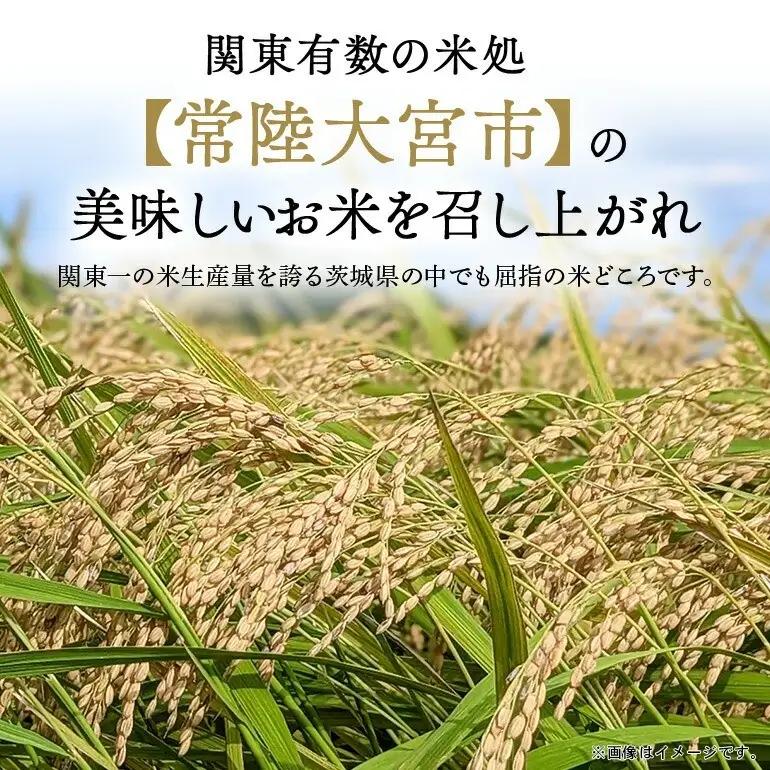 米 コシヒカリ 10kg（5kg×2） 令和8年産 【新米】【ho1751】