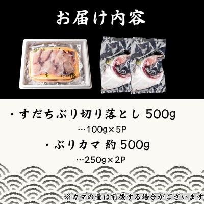 ふるさと納税 小松島市 ぶり 切り落とし ブリカマ2Pセット 計1Kg 徳島ブランド 鰤 ブリ 刺身 ぶりしゃぶ 冷凍 徳島 |  | 03