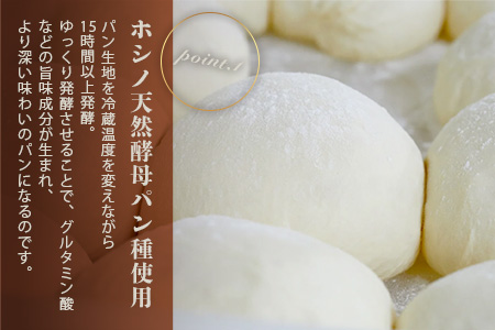【秘境・椎葉村の愛されパン屋さん】天然酵母パン 詰め合わせ 7種10個セット【今日も誰かの笑顔のみなもと】