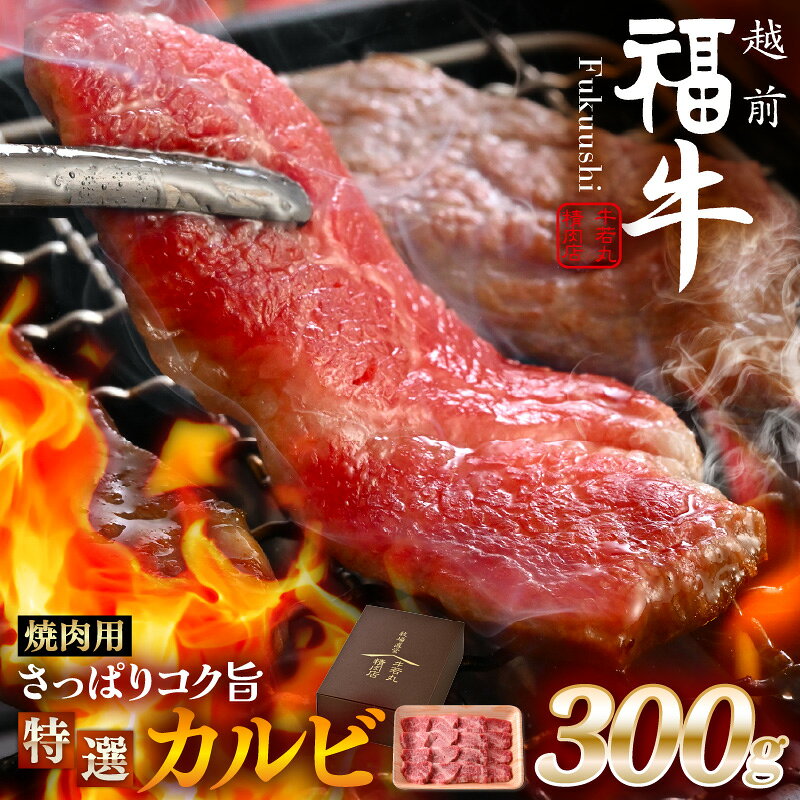 【ふるさと納税】 希少 越前福牛 さっぱりコク旨 特選カルビ 焼肉用 300g 焼肉 焼き肉 国産牛ブランド牛 赤身和牛 かるび 肉 牛 牛肉 冷凍 贈答 贈り物 ギフト