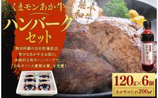 くまモンあか牛ハンバーグセット(あか牛ハンバーグ約120g×6個、あか牛のたれ200ml付き)《30日以内に出荷予定(土日祝除く)》 st-p