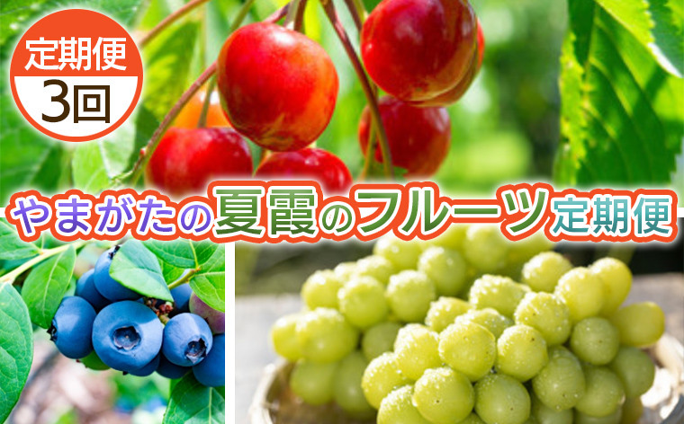 
            【定期便3回】やまがた　夏霞のフルーツ定期便  【令和8年産先行予約】FS25-703 くだもの 果物 フルーツ 山形 山形県 山形市 2026年産
          