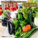 【ふるさと納税】有機JAS認定 季節の野菜詰め合わせ~有機野菜セットB~季節の有機野菜 15～18種類程度 おまかせ 詰め合わせ 農薬化学肥料不使用 朝どれ 新鮮野菜 安心 安全 国産 北海道 北広島市産 春 冷蔵 送料無料