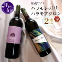 【ふるさと納税】 ワイン 赤 2本 セット 飲み比べ 原茂ワイン ハラモレッド アジロン 750ml×2 日本ワイン 甲州ワイン 山梨県 勝沼 ライトボディ ミディアムボディ 甲州市 母の日 父の日 記念日 ギフト （MG） 【B15-731】