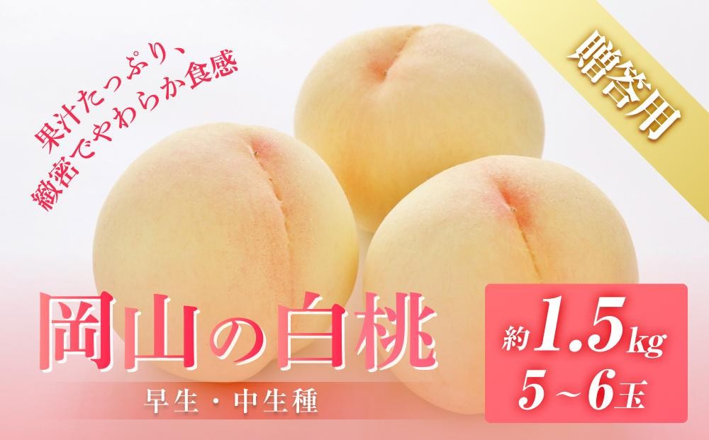 
                  桃 2027年 8月発送 贈答用 岡山の 白桃（早生、中生種）約1.5kg 5～6玉 もも モモ フルーツ 果物 岡山市 一宮地区産 国産 赤木農園
                