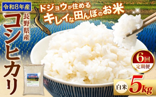 【令和8年産先行予約】【6回定期便】≪どじょうのいる田んぼのお米≫ コシヒカリ 信州安曇野松川村産｜白米 5kg 定期 6回 有機肥料 低農薬 自然栽培 安曇野米 ごはん ライス 長野県 松川村 送料無料 国産米 産地直送 農家直送 新米対応
