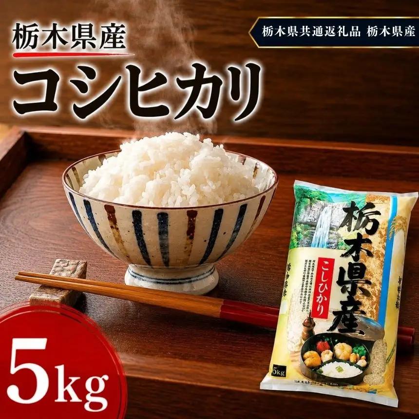 【令和8年産 新米】栃木県産 お米 白米 こしひかり 5kg | 栃木県 矢板市　栃木県共通返礼品 栃木県産