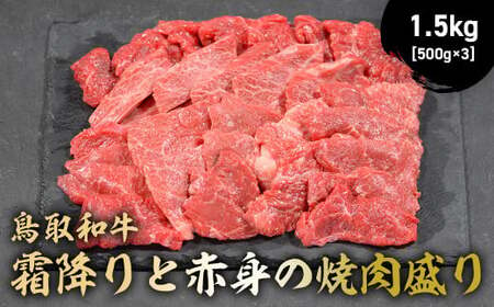 鳥取和牛 霜降りと赤身の焼肉盛り 1.5kg ( 500g × 3 ) 牛肉 和牛 鳥取和牛 ブランド和牛 焼肉 焼肉用 焼き肉 焼き肉用 焼肉赤身 和牛赤身 霜降り ロース モモ バラ 黒毛和牛 KR1464