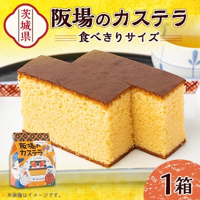 阪場のカステラ(食べきりサイズ)　＜夏季用＞【配送不可地域：離島】【1614066】