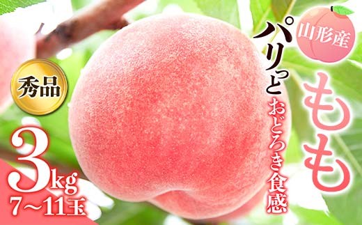 《先行予約 2026年発送》パリっとおどろき食感！山形産もも3kg  もも モモ 桃 デザート フルーツ 果物 くだもの 果実 食品 山形県 FSY-2869