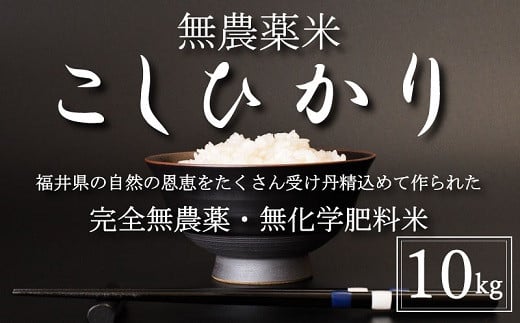 〈令和6年産・新米〉無農薬米10㎏（5㎏×2）【こしひかり】白米