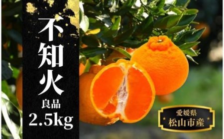【不知火】良品 約 2.5 kg ＜2027年3月中旬?4月頭頃順次発送＞ 愛媛 松山 みかん 先行予約 蜜柑 柑橘 果物 くだもの フルーツ お取り寄せ グルメ 期間限定 数量限定 人気 おすすめ 愛媛県 松山市【PT006_x】