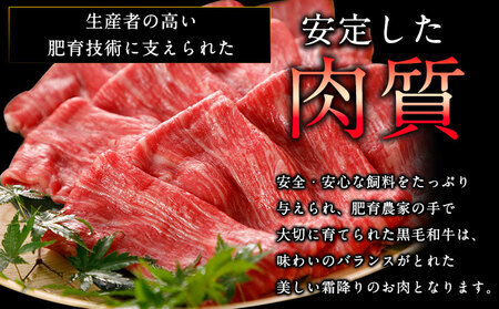 【3ヶ月定期】くまもと黒毛和牛 すき焼き用 500g《お申込み月の翌月から出荷開始》 定期 計3回お届け 熊本県 葦北郡 津奈木町 津奈木食品 送料無料