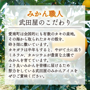 【みかん職人が作った フローズン ゼリー 】 40g×1種 計12個 河内晩柑 みかん 人気 デザート スイーツ  シャーベット 愛南ゴールド 美生柑 柑橘 みかん職人武田屋 ふるさと納税 愛媛県 愛