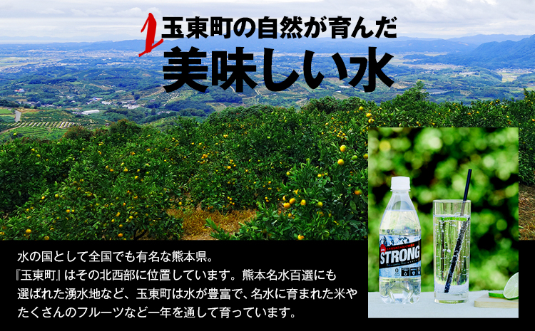 【6か月定期便】強炭酸水6箱（計6回お届け 合計6ケース: 500ml×144本）《2025年2月から出荷開始》強炭酸水 熊本県玉東町産の水を使用! クリアで爽快な喉越し！くまもと風土の強炭酸水★スト