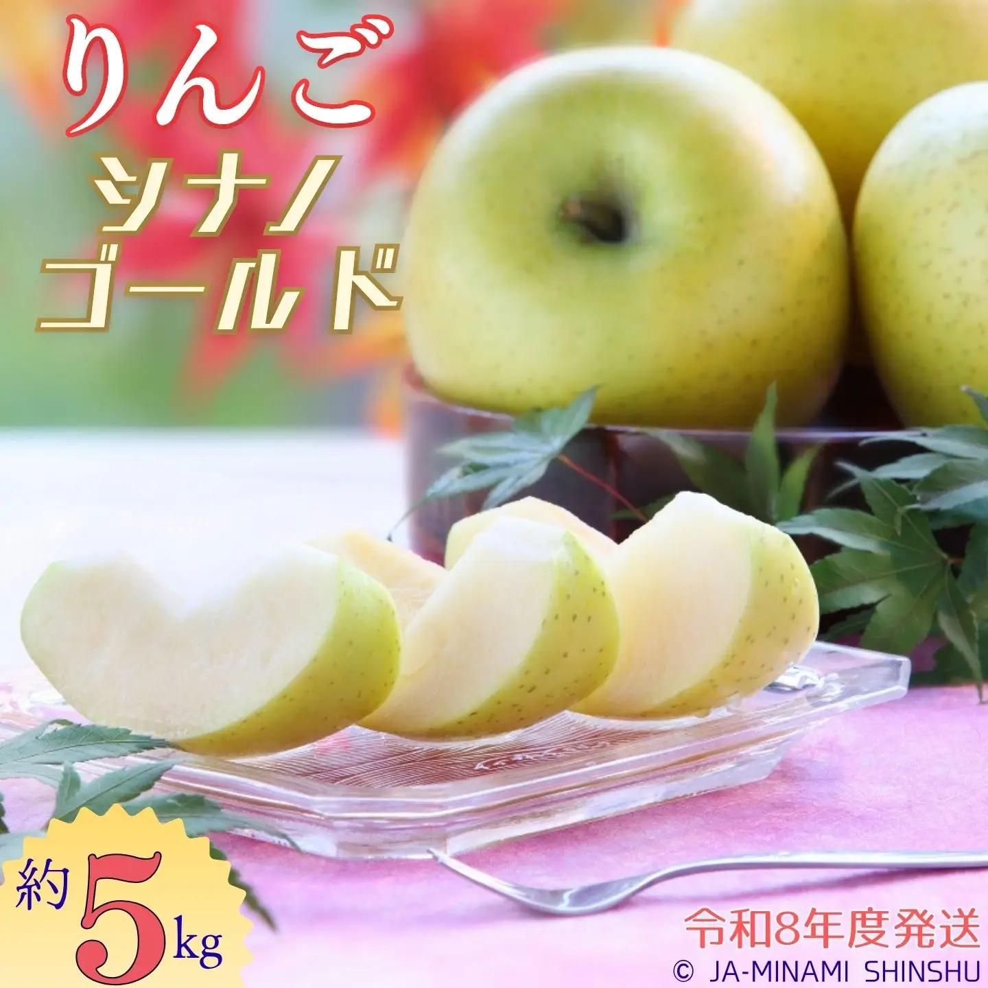 J12　【令和8年度発送】シナノゴールド　約5kg