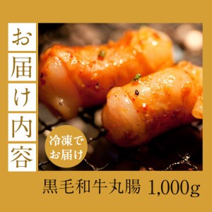 いちき串木野産 黒毛和牛 小腸100％ 「黒毛和牛 ホルモン 丸腸」約1kg もつ鍋・焼肉に最適！【A-508】