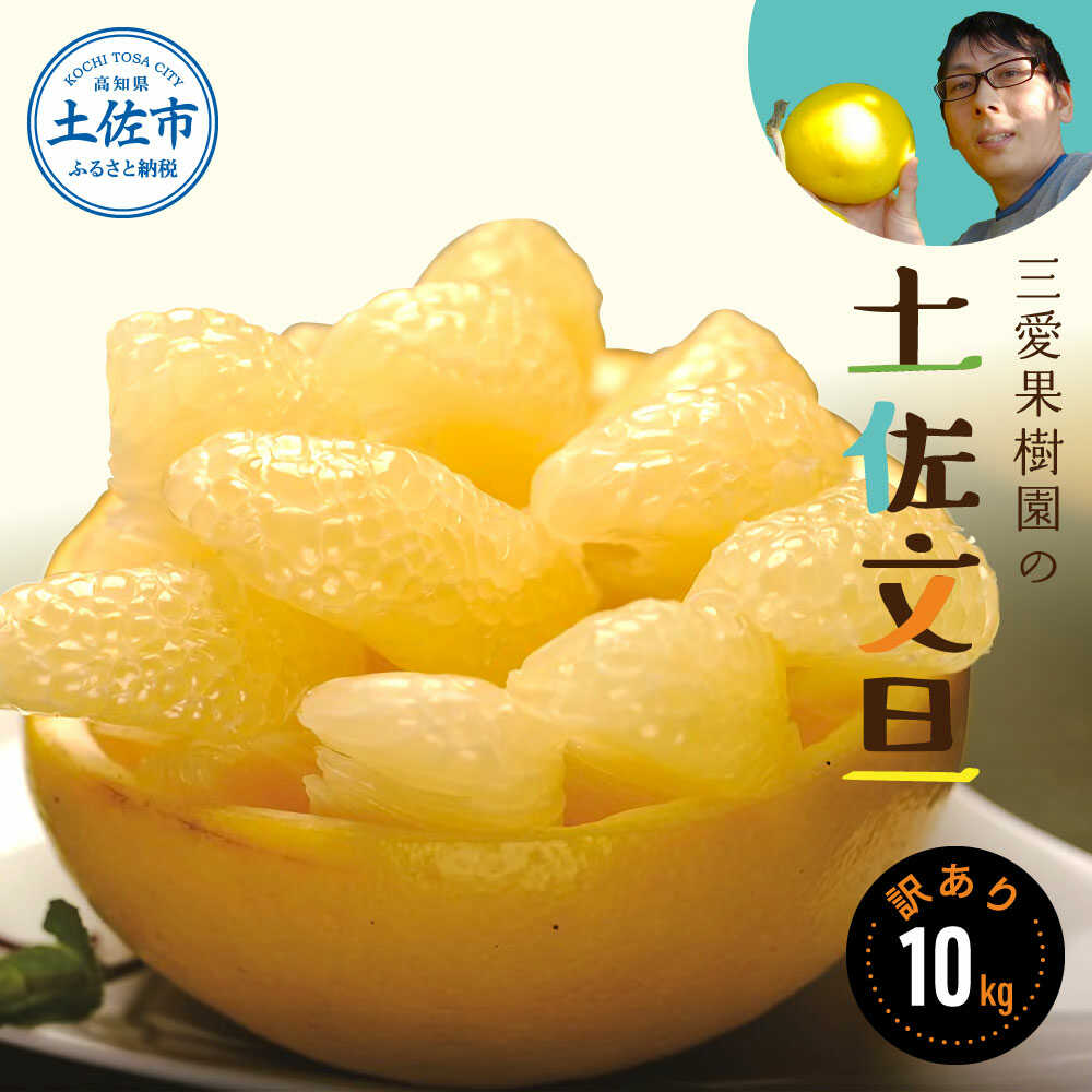 【ふるさと納税】【訳あり】三愛果樹園の土佐文旦 10kg 土佐文旦 高知 柑橘 フルーツ ぶんたん 果物 甘い 旬 産直 お取り寄せ 季節限定 訳あり 家庭用 お得 自宅用 傷あり 10キロ 大量 高知県土佐市/三愛果樹園[BQAO009]