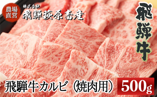 飛騨牛カルビ焼肉用（500g）最高級 国産 牛肉 ブランド牛  牛  焼き肉 ギフト 贈答 飛騨牛 焼き肉 焼肉 【冷凍】