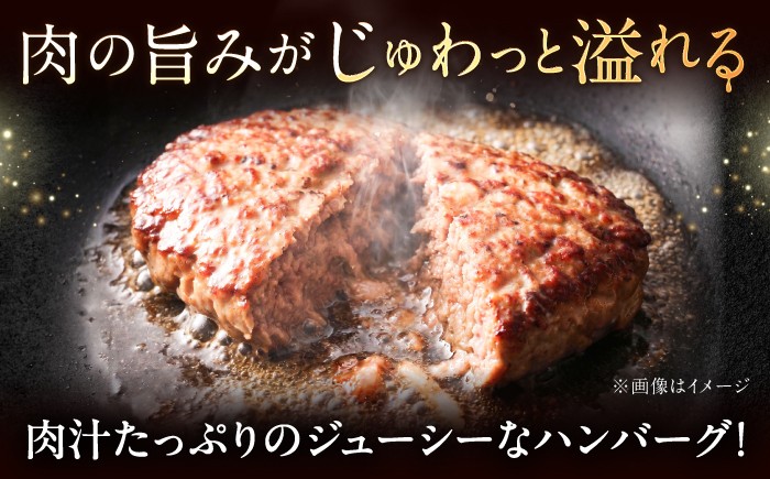 佐賀牛 ブランド牛 黒毛和牛 和牛 佐賀牛ハンバーグ 冷凍 小分け 簡単調理