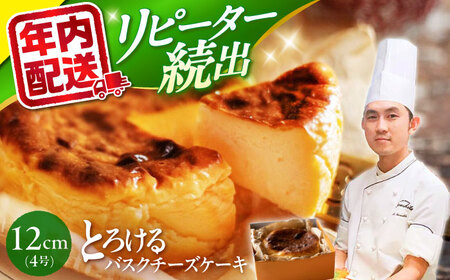 バスク チーズケーキ 1個 ＜お菓子のいわした＞ [CAM068] ケーキ チーズケーキ  チーズケーキ  濃厚チーズケーキ  チーズケーキ  バスクチーズケーキ 9000円 9千円 10000円 1万円 