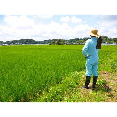 ふるさと納税 香取市 【毎月定期便】自然米 (白米3.8kg)全3回 |  | 01
